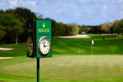 WhatsApp-Image-2025-05-19-at-3.56.00-PM