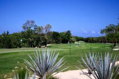 WhatsApp-Image-2025-05-19-at-4.06.57-PM