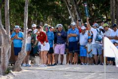 196bac45-2ca6-4575-ab4c-6b5cf52d6d58